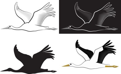 isolated flying stork - clip art illustration and line art