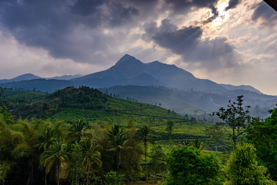 Wayanad Hills