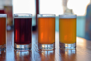 Tasting samples of beer at microbrewery