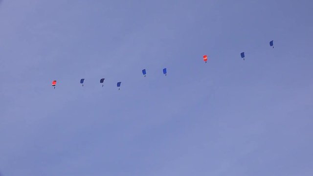 Elite military forces and paratroopers skydive onto and land in a field during training operations.