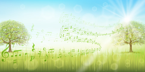 Obraz premium 草原 空 風景 背景