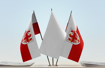 Two flags of South Tyrol with a white flag in the middle