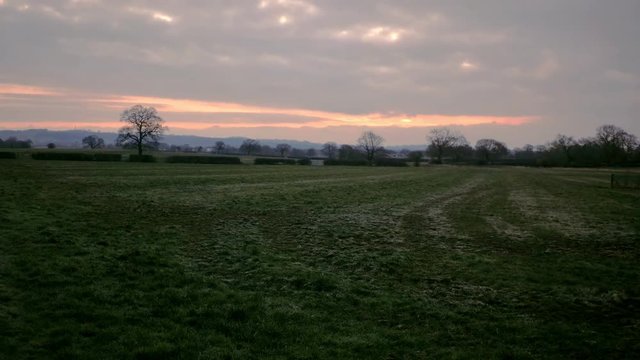 landscape view of grass, field and trees in background with cloudy sun rising dawn.
