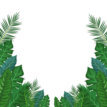 Leaves and plants frame vector illustration graphic design vector illustration graphic design