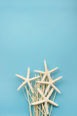 Summer concept. Starfish on a blue background