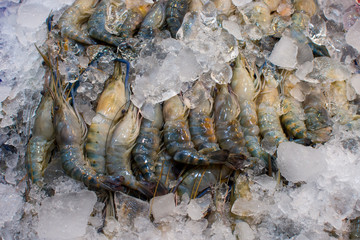 shrimp freeze in market for sale. subject is blurred.