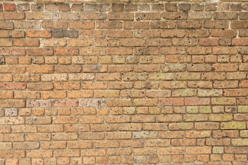 Fototapeta premium facade view of old brick wall background