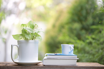 White cup with green plant at outdoor