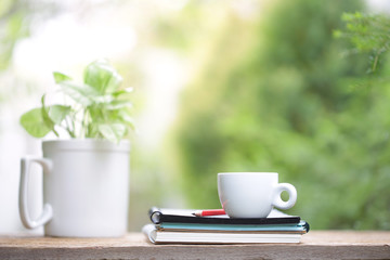 White cup with green plant at outdoor