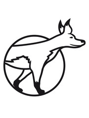 kreis rund loch fuchs schön design cool comic cartoon clipart logo tier wald