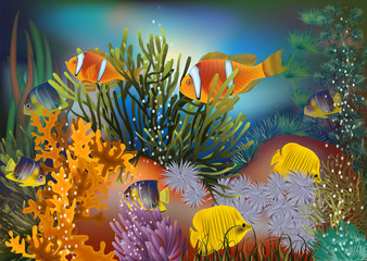 Obraz na płótnie Canvas Underwater wallpaper with tropical fish, vector illustration