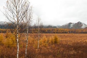 秋の草原