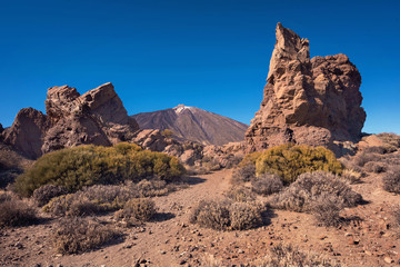 Fototapeta premium Teide national park on a sunny day Tenerife, Canary islands, Spain.