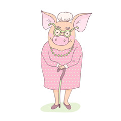 Cute and pretty pig grandmother