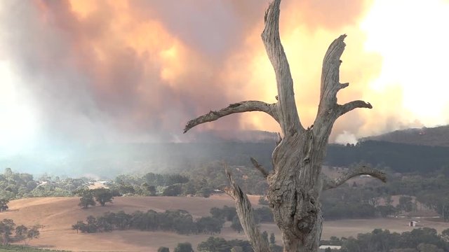 A massive wildfire burning in the outback of Australia.