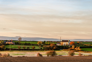 Fototapeta na wymiar Scenic view of Irish farmland at sunset