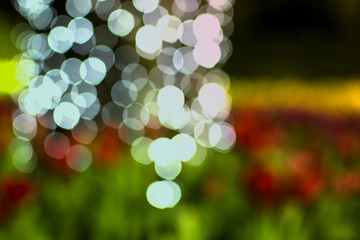 Bokeh of light and blurry defocused flower garden background