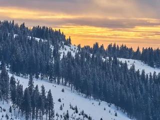 Foto op Plexiglas Mistig bos Winterlandschap in Madaras, Harghita, Roemenië
