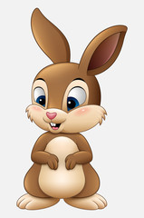 Obraz premium Cute rabbit cartoon isolated on white background