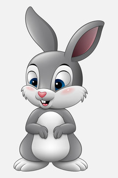 Rabbit Cartoon Images – Browse 362,359 Stock Photos, Vectors, and Video |  Adobe Stock