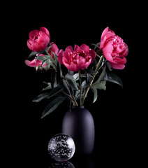 Bouquet of pink peonies in a vase