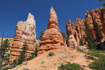 Rock Hoodoos in Bryce Canyon National Park in Utah. USA