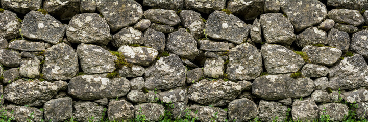 Natural stone wall with green vegetation, small flowers and moss