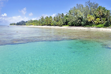 Lagoon and seashore Rarotonga Cook Islands