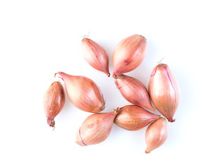 shallots onion on white background, bulbs, top view