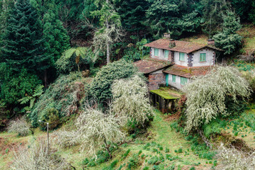 Mountain house with red roof surrounded by trees and bushes in Madeira island, Portugal