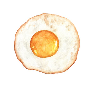 Delicious fried egg isolated on a white background. Watercolor illustration