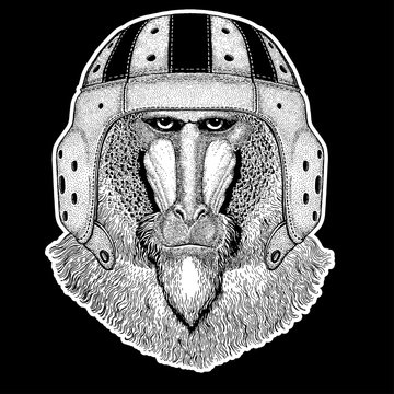 Rugby player. Monkey, baboon, dog-ape, ape Hand drawn image for tattoo, emblem, badge, logo, patch