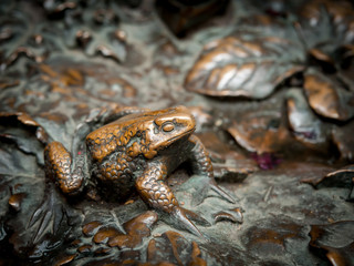 Toad made of bronze, detail of a monument