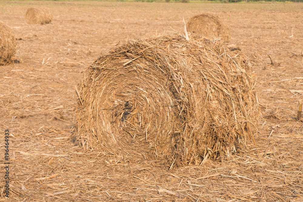 Wall mural stack of straw in the field.