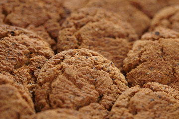 oatmeal cookies