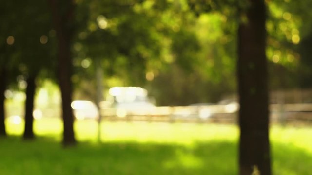 Abstract background, blurred green alley in the park, sunny glare on cars on a bright summer day.