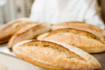 baker holding tray with fresh loaves of bread