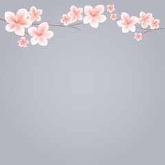 Branches of Sakura with Pink flowers isolated on Grey background. Sakura flowers. Cherry blossom. Vector