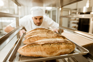young baker putting trays of fresh bread on stand at baking manufacture