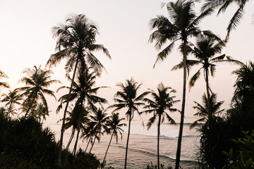 Sunset on the Sri Lanka beach