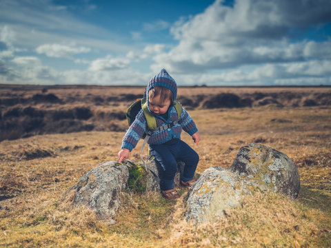 Little boy sitting on the moor