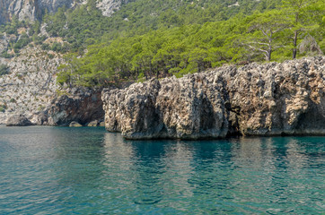 rocks and pine forest on the cliffs of Turkish Mediterranean coast Cirali, Antalya province, Turkey