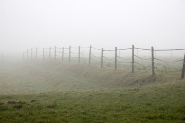 Obraz premium fence and fog