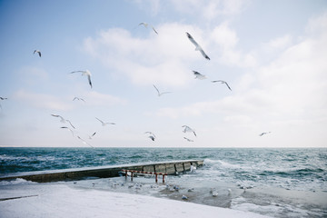 pier on winter seashore with flying seagulls