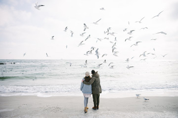 rear view of couple embracing on winter sea shore and looking at seagulls