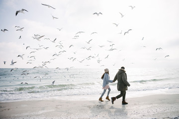 young couple holding hands and walking on winter sea shore and looking at seagulls - Powered by Adobe