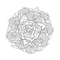 Black and white line art circle roses, coloring book page, hand drawn graphic, vector illustration isolated on white background