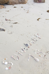 The word summer 18, written with shells in the sand