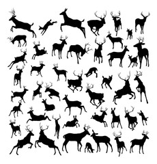 Obraz premium Sylwetki zwierząt jelenia