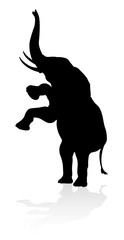 Obraz premium Elephant Animal Silhouette